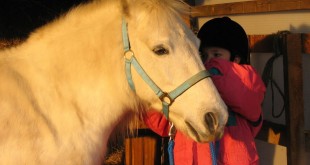 Mehrere Ponyhöfe in der Region Nürnberg-Fürth-Erlangen bieten Ponyreiten für Kinder an.