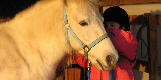 Mehrere Ponyhöfe in der Region Nürnberg-Fürth-Erlangen bieten Ponyreiten für Kinder an.